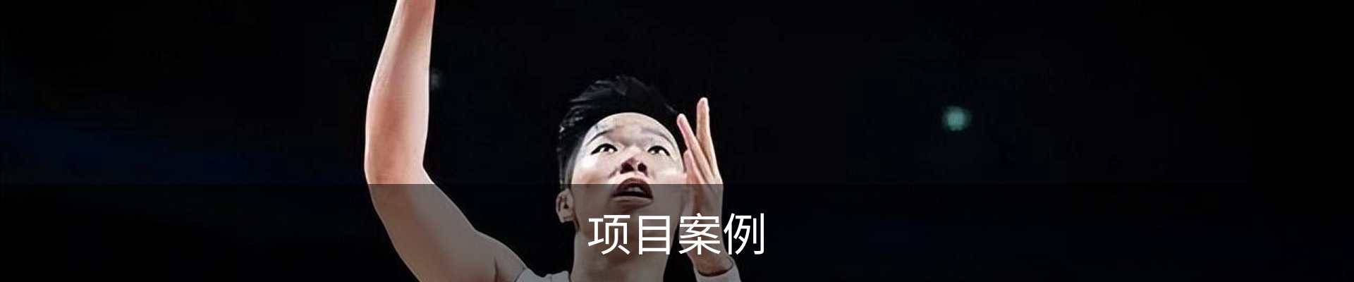 项目案例